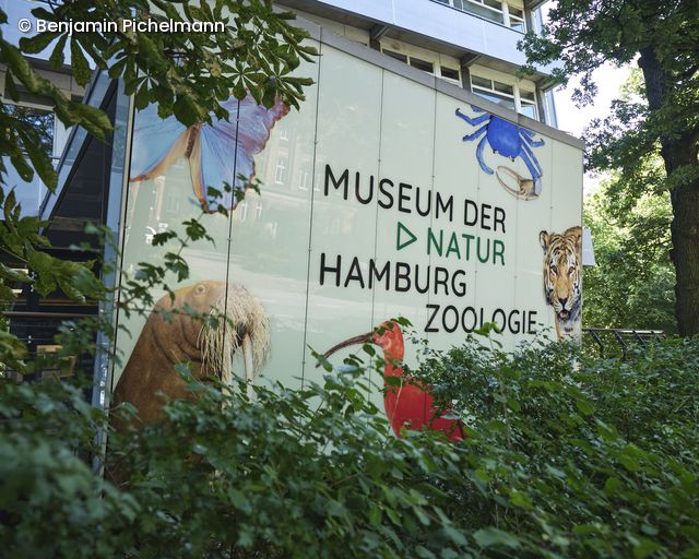 Logo am Eingang des Museum der Natur