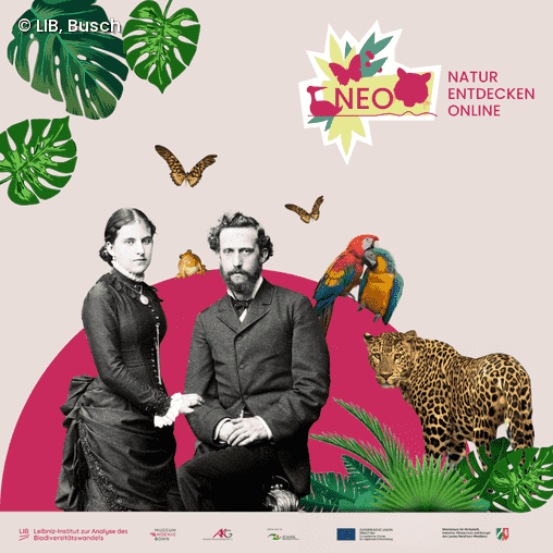 Collage von Margarethe und Alexander Koenig mit verschiedenen Tieren