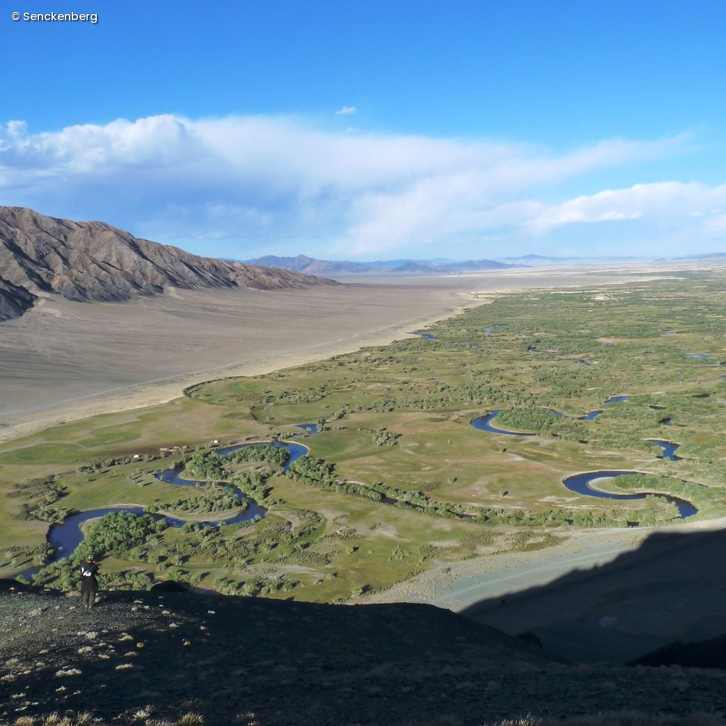 Panoramablick Natur