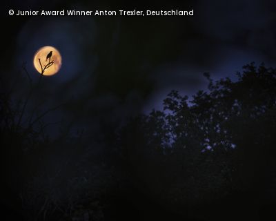 Mondschein bei Nacht