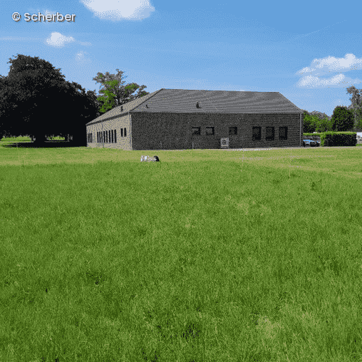 Wiese mit einem Haus darauf