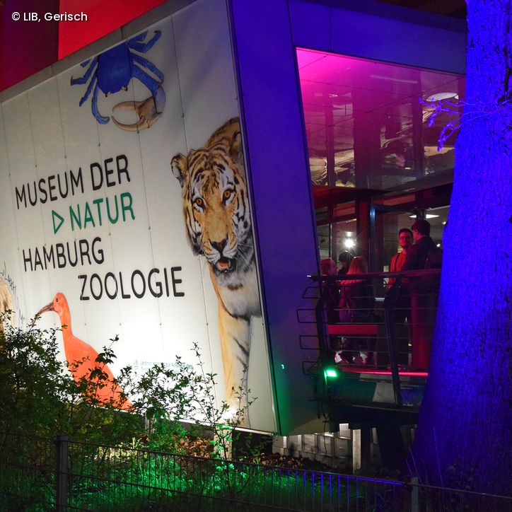 Museum der Natur bei Nacht