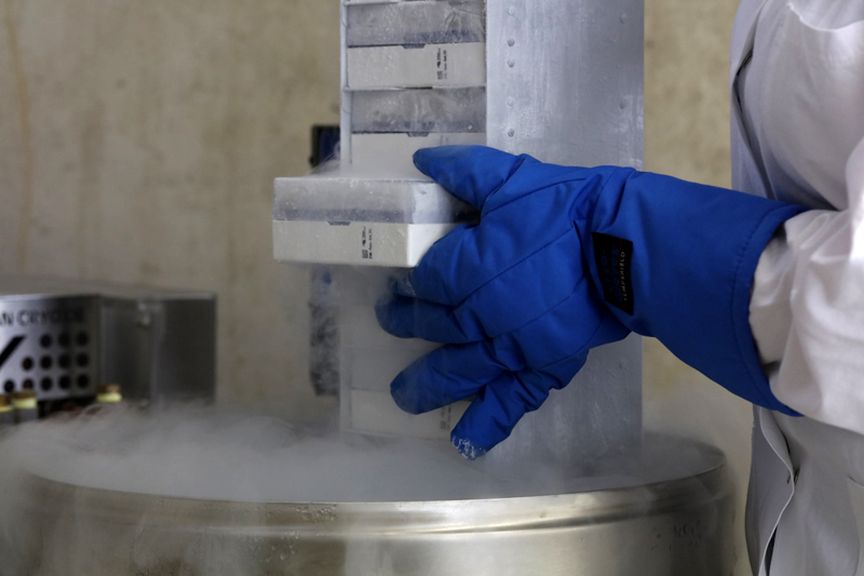 Biobank sample storage in liquid nitrogen