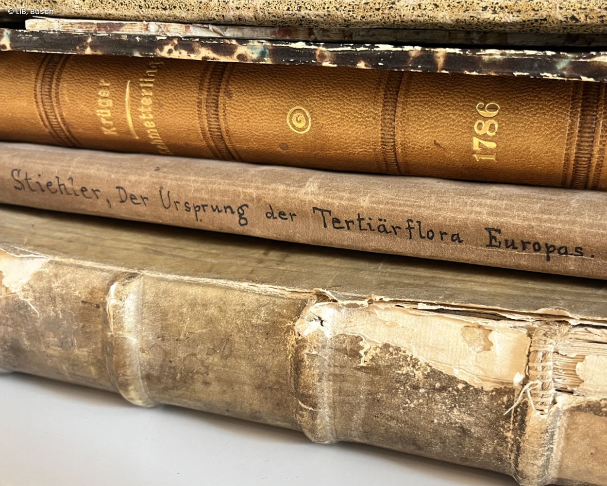 historische Bücher auf einem Stapel