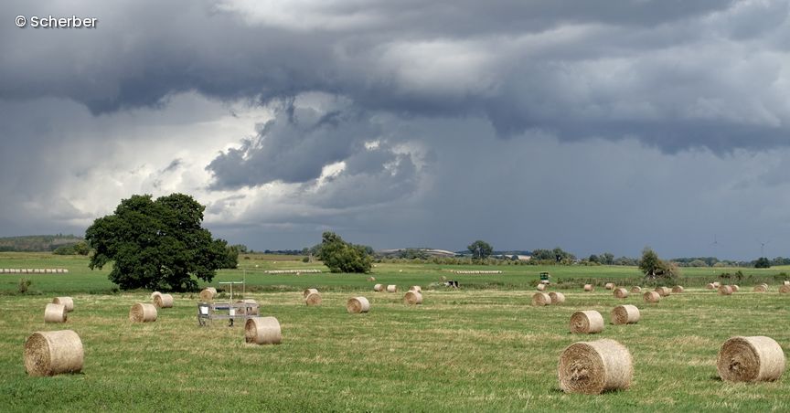 Gerollte Heuballen auf Feld bei bewölktem Wetter