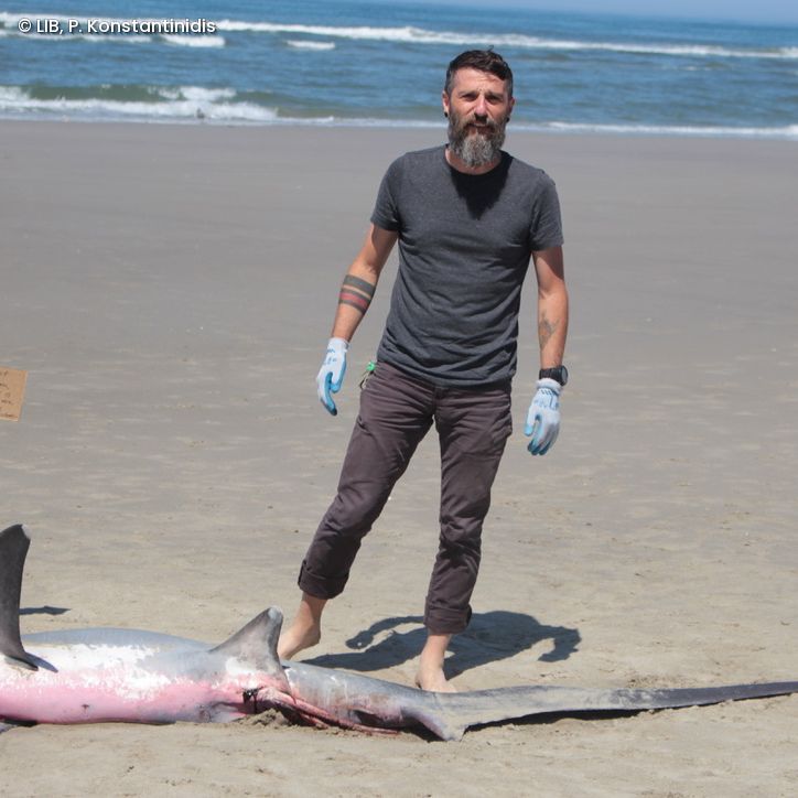 Peter Konstantinidis