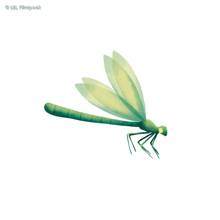 Grünliche, stilisierte Libelle mit transparenten Flügeln und segmentiertem Körper in Seitenansicht