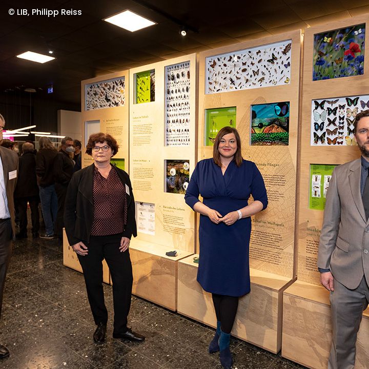 Prof. Dr. Bernhard Misof, Generaldirektor LIB; Sabine Riewenherm, Präsidentin des Bundesamtes für Naturschutz (BfN); Katharina Fegebank, Zweite Bürgermeisterin und Senatorin für Wissenschaft und Forschung Hamburg; Dr. Martin Husemann, LIB-Insektenspezialist und Projektleiter der Ausstellung