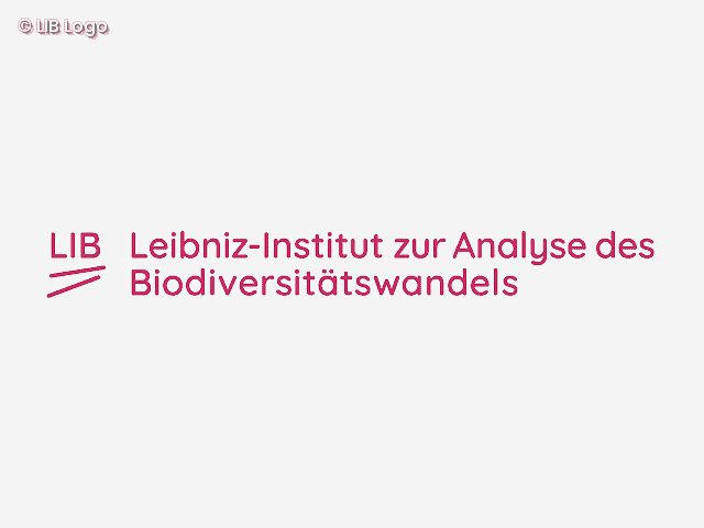 LIB Logo