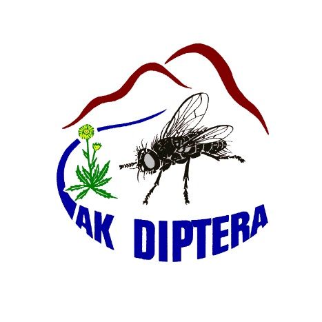 Zeichnung einer Fliege, einer Löwenzahnpflanze und Bergen im Hintergrund