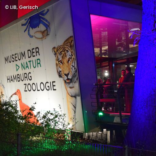 Museum der Natur bei Nacht