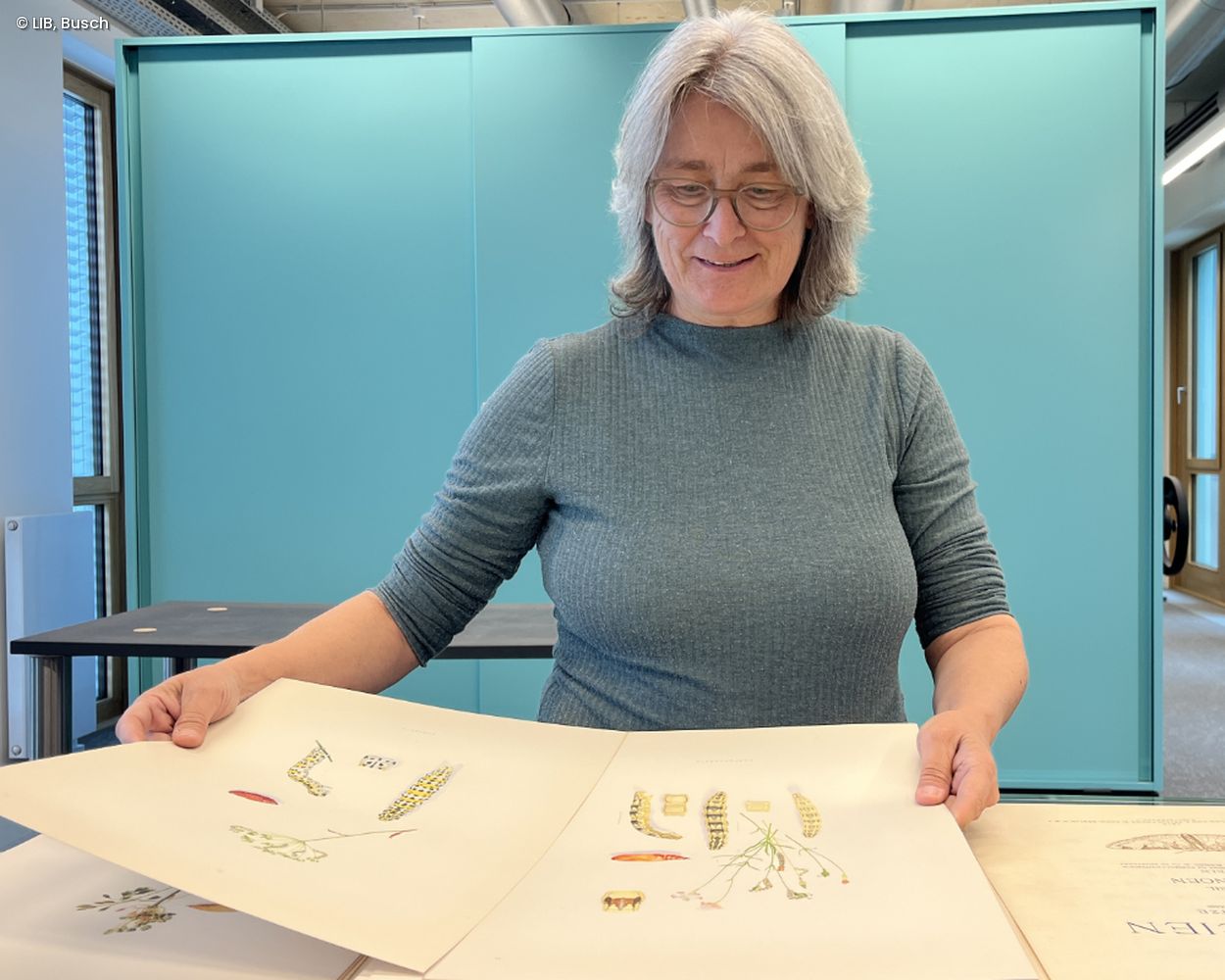 Katharina Schmidt-Loske blättert in einem historischen Buch mit Illustrationen