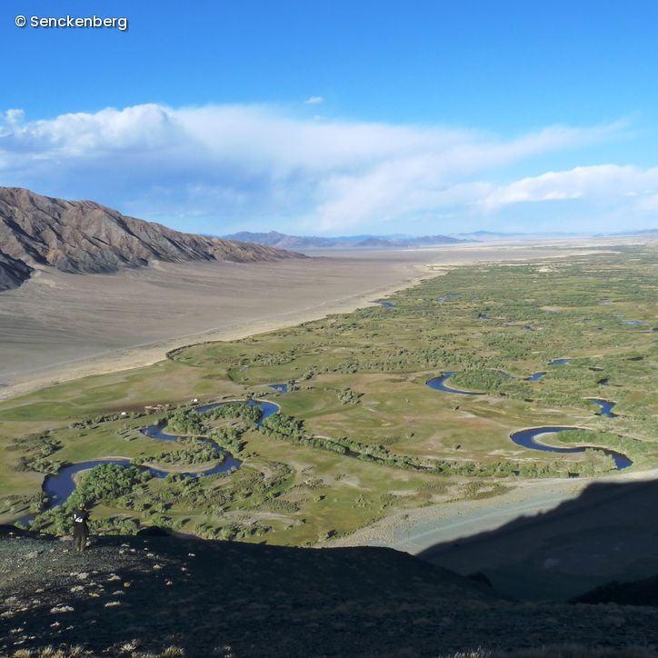 Panoramablick Natur