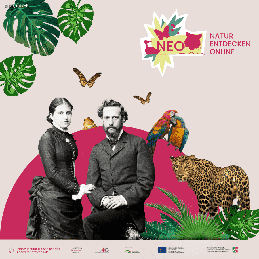 Collage von Margarethe und Alexander Koenig mit verschiedenen Tieren