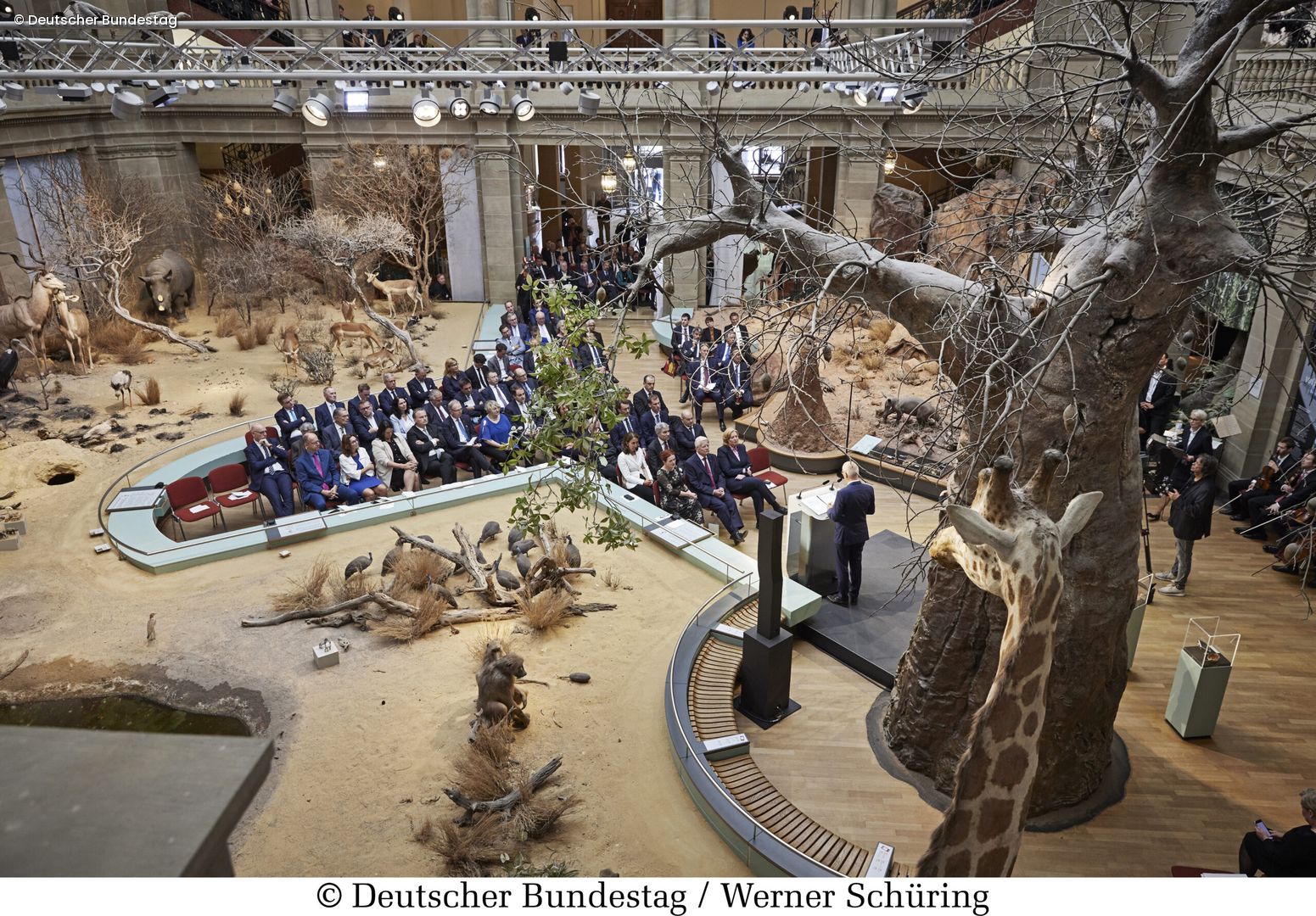 Bundespräsident hält Rede im Museum König Bonn