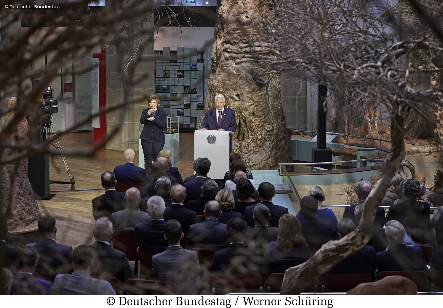 Bundespräsident hält Rede im Museum König Bonn