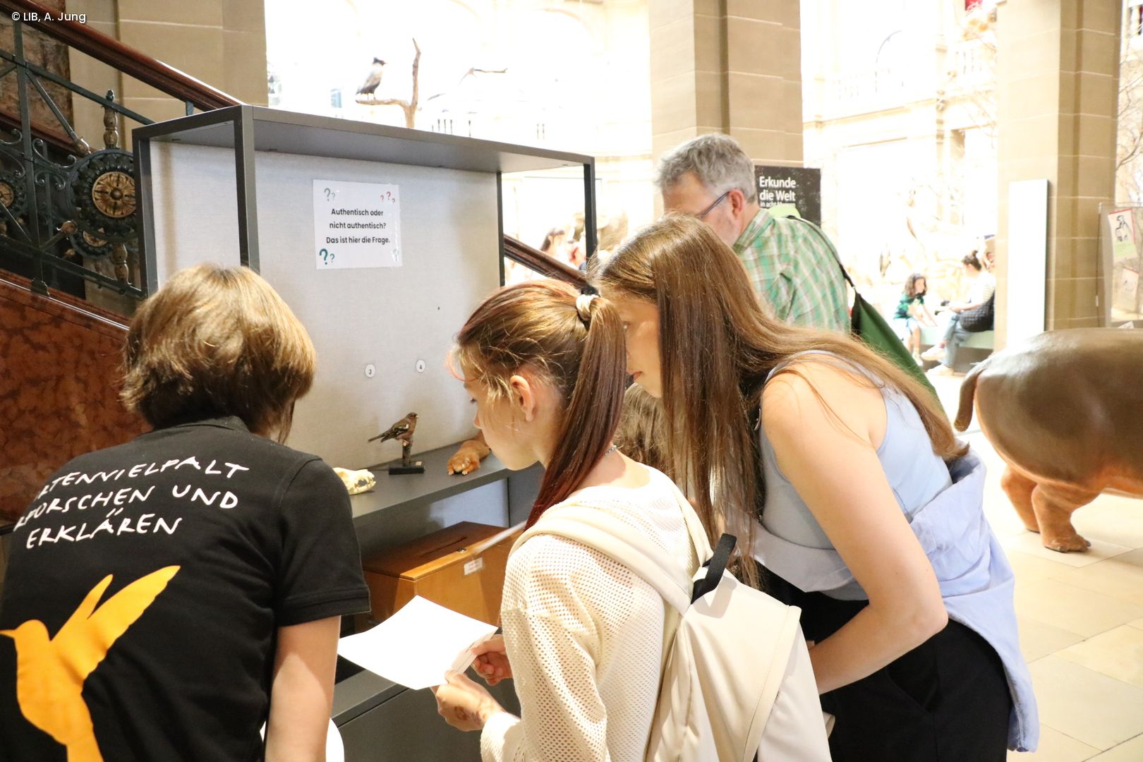 Besuchende vor einer Vitrine auf dem Museumsmeilenfest