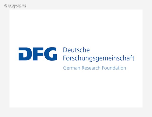 Logo DFG