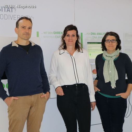 Team, das im LIB für das paneuropäische BGE-Projekt verantwortlich ist: Dr. Jonas Astrin, Sektionsleiter, Biobank-Kurator, Dr. Astrid Böhne, Sektionsleiterin Vergleichende Genomik (Wirbeltiere), Dr. Sarah Bourlat, Sektionsleiterin Metabarcoding