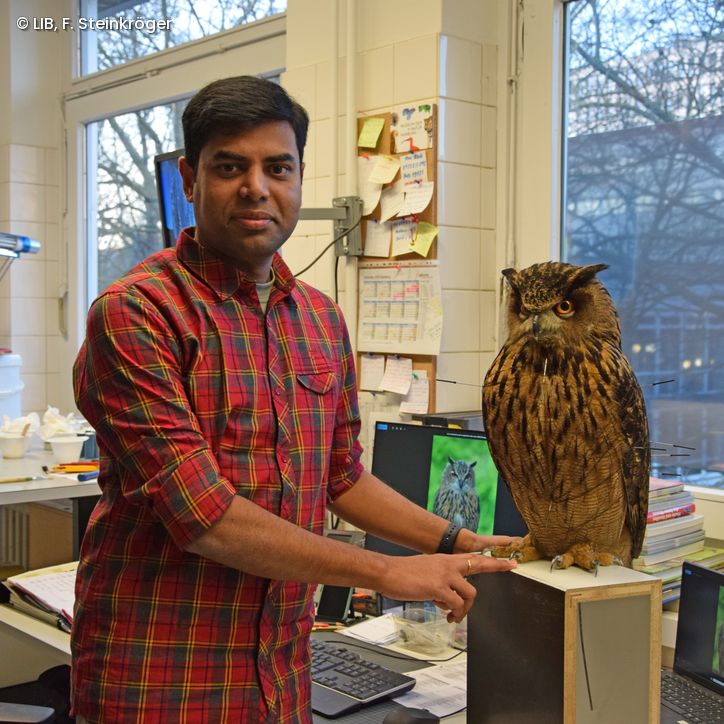 Das Gesicht des LIB, Präparator Md. Abdullah Al Mamun, in der Präparationswerkstatt in Hamburg.