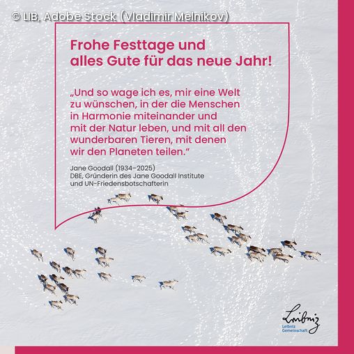 Weihnachtskarte mit Neujahrsgruß und Zitat von Jane Goodall, darüber Logos vom LIB, Museum Koenig Bonn und Museum der Natur Hamburg, darunter eine Herde von Rentieren im Schnee.