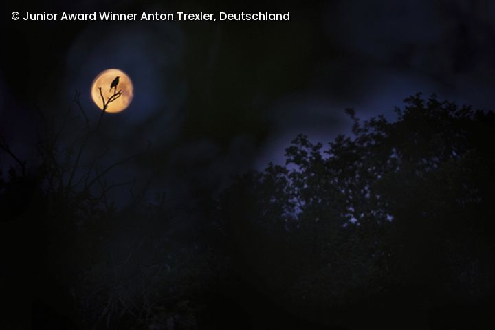 Mondschein bei Nacht