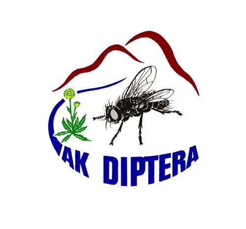 Zeichnung einer Fliege, einer Löwenzahnpflanze und Bergen im Hintergrund