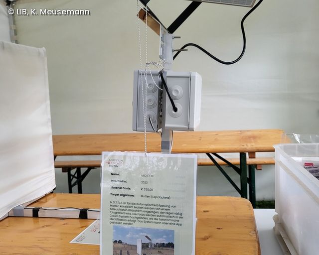 Kamera-Falle für Motten auf dem Museumsmeilenfest