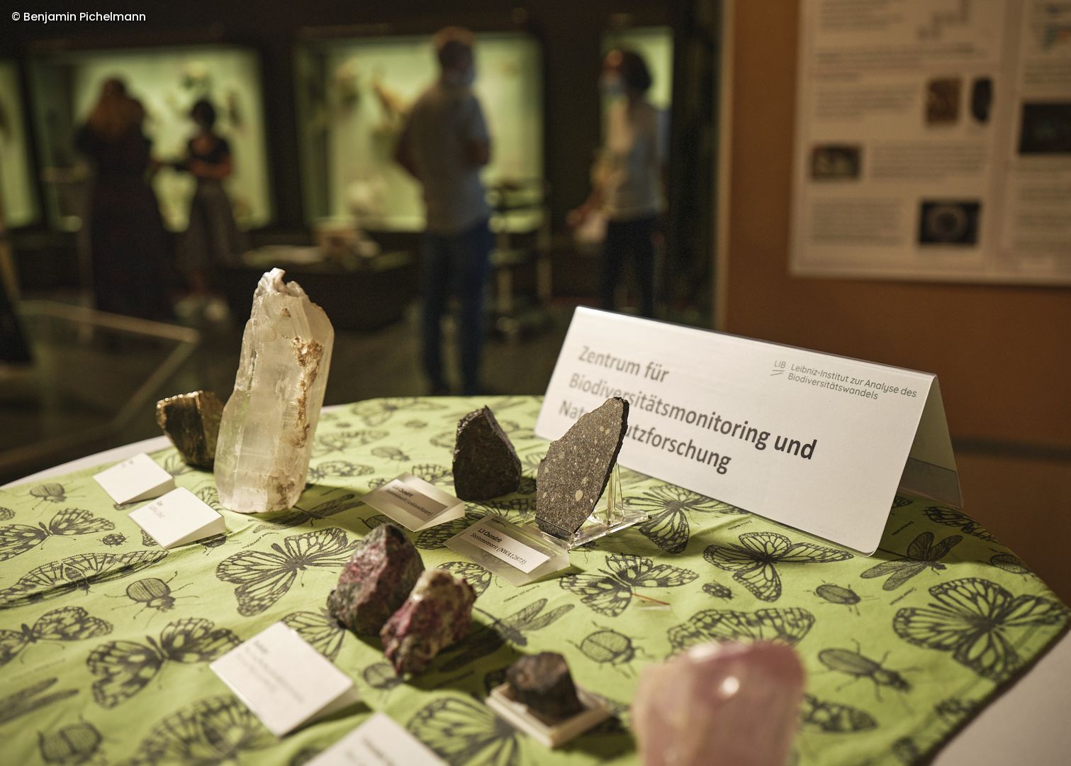 Fossilien und Mineralien in der Ausstellung
