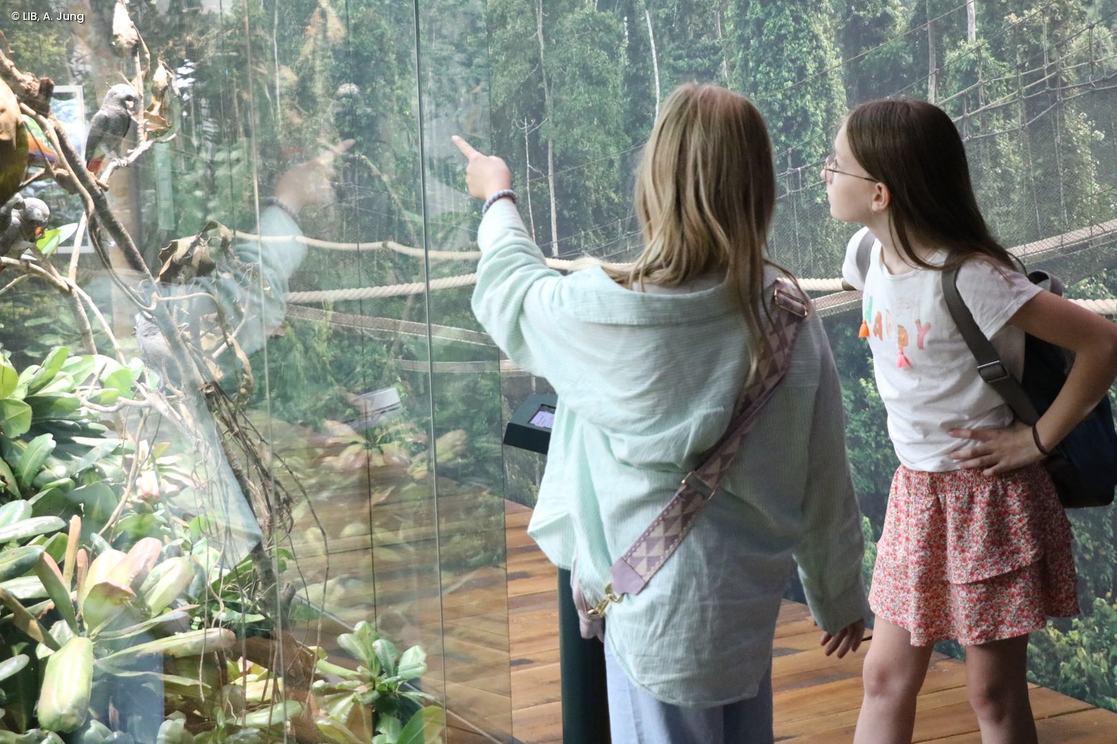 Besuchende in der Regenwald Ausstellung auf dem Museumsmeilenfest