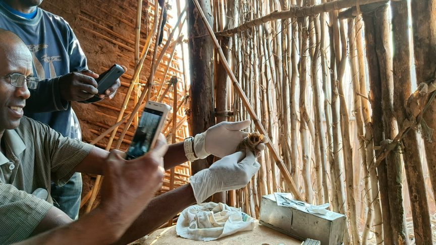 Forschende fotografieren Forschungsgegenstand