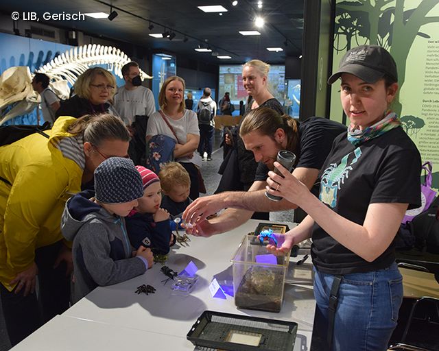 Skorpion Station im Zoologischen Museum