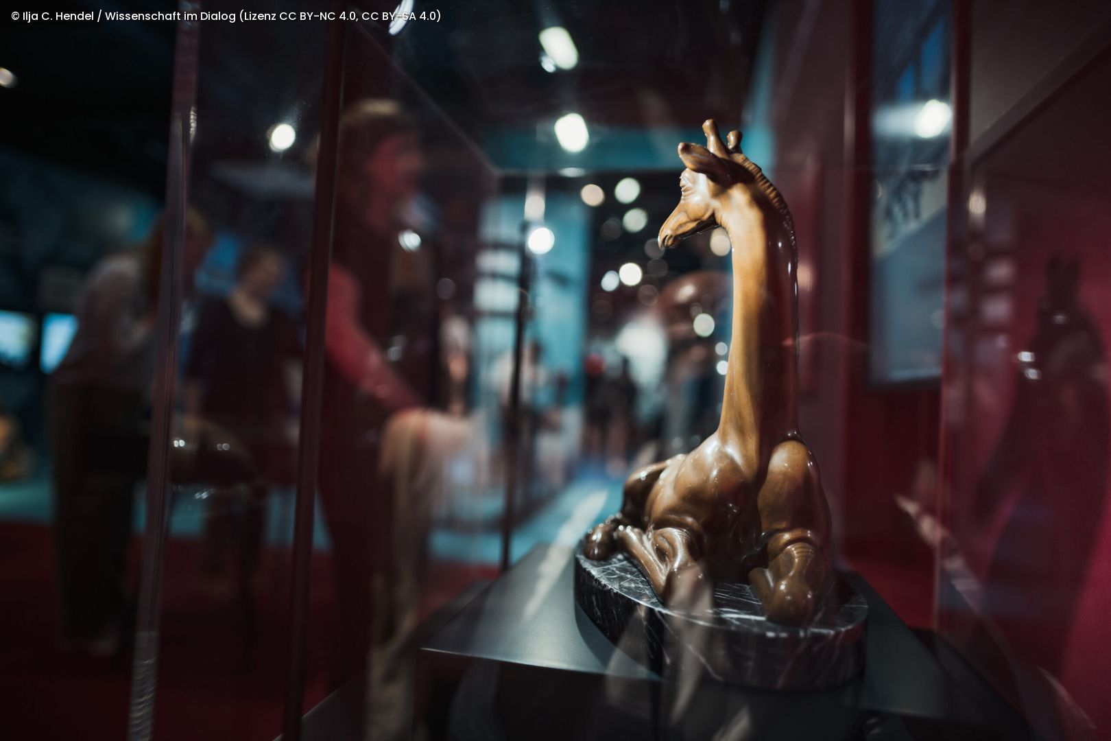 Bundesgiraffe Figur in Vitrine