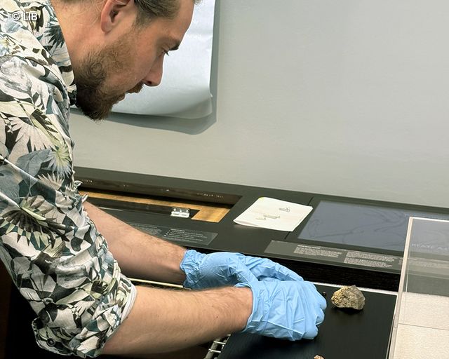 Person wearing blue gloves placing two rock samples on a black display surface in a museum or exhibition.
