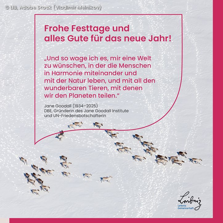 Weihnachtskarte mit Neujahrsgruß und Zitat von Jane Goodall, darüber Logos vom LIB, Museum Koenig Bonn und Museum der Natur Hamburg, darunter eine Herde von Rentieren im Schnee.