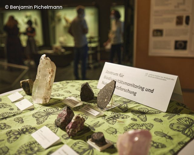 Fossilien und Mineralien in der Ausstellung