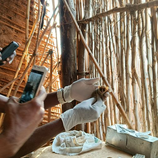 Forschende fotografieren Forschungsgegenstand