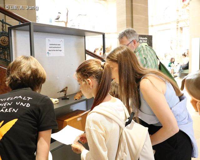 Besuchende vor einer Vitrine auf dem Museumsmeilenfest