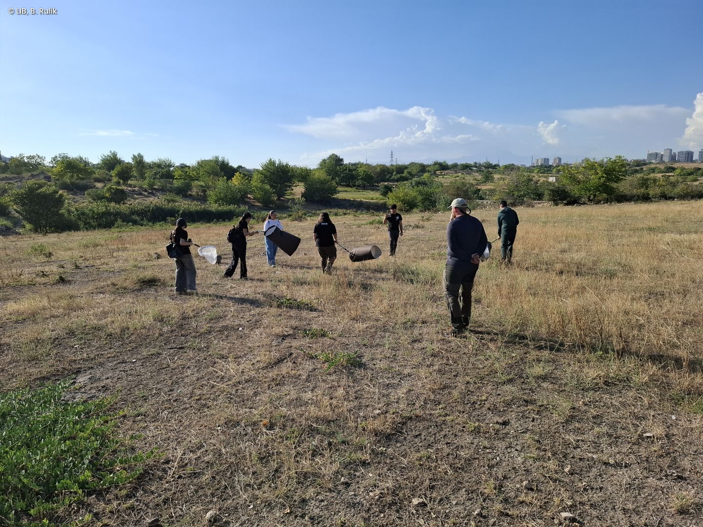 Gruppe von Menschen mit Netzen und Behältern auf einer trockenen Wiese bei klarem Himmel im Rahmen des Bioblitz Yerewan