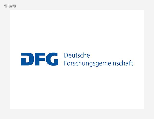 DFG Logo