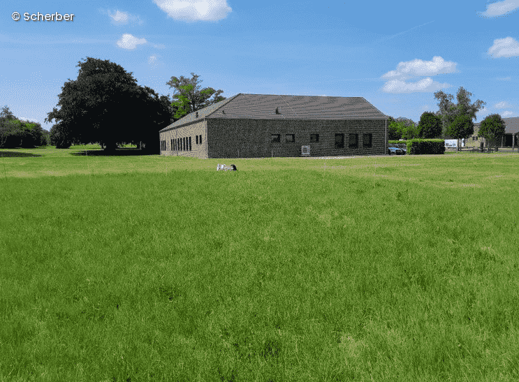 Wiese mit einem Haus darauf