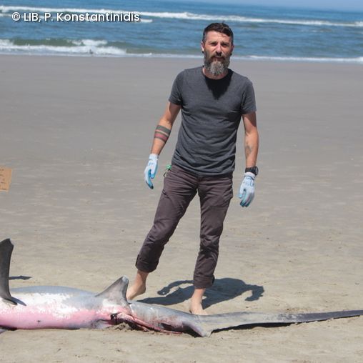 Peter Konstantinidis