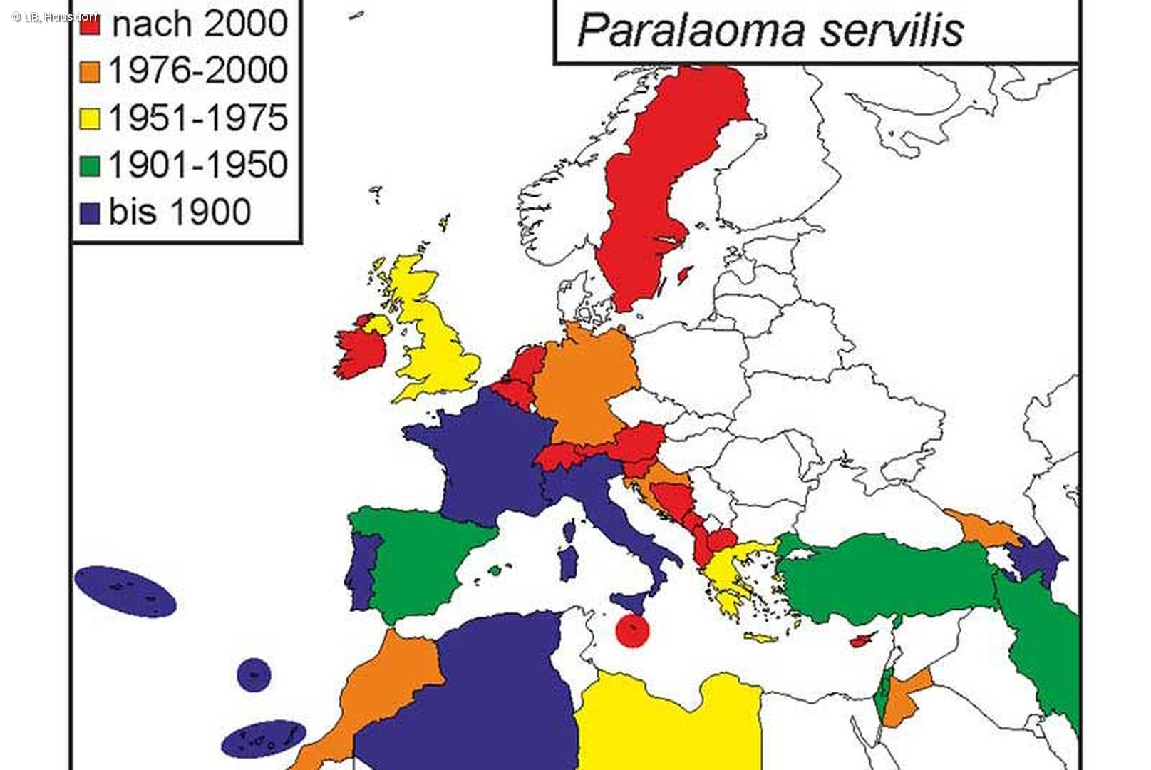Studie belegt die starke Ausbreitung der Landschneckenart Paralaoma servilis. 