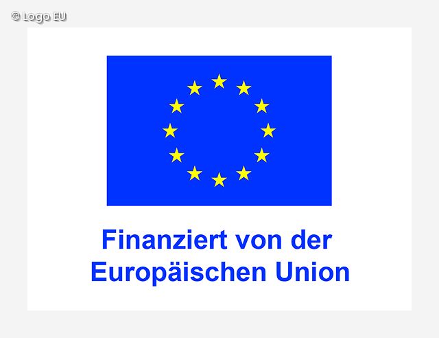 Logo EU