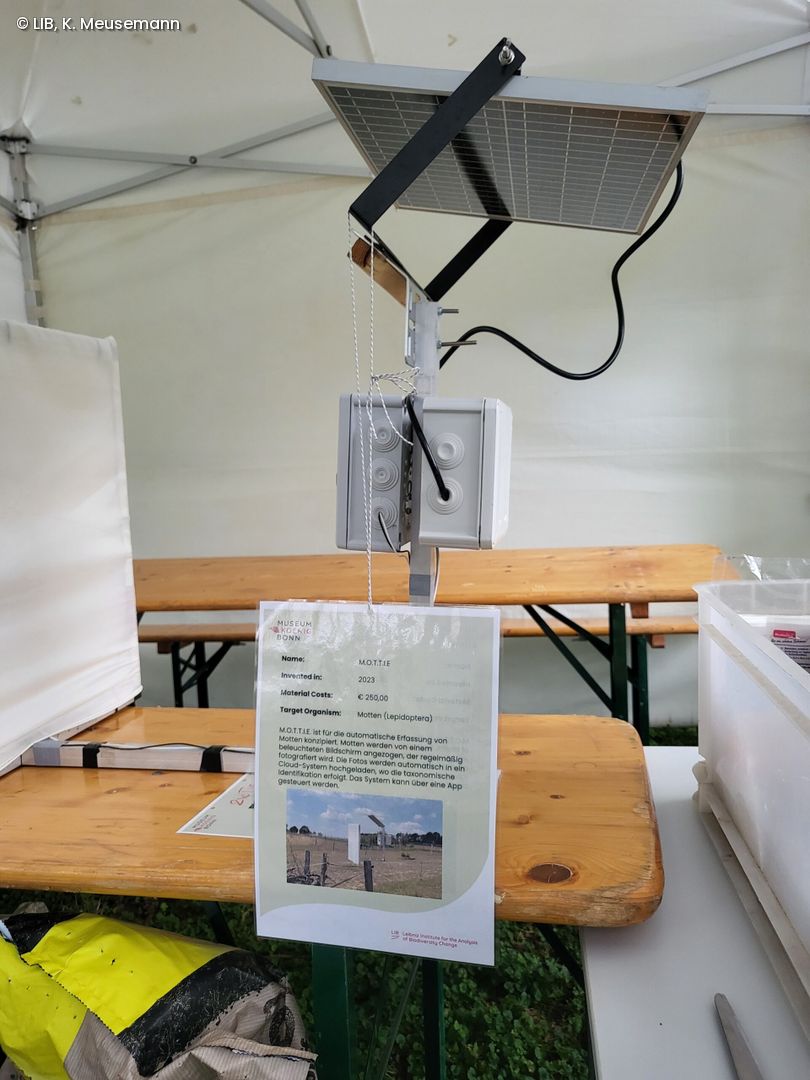 Kamera-Falle für Motten auf dem Museumsmeilenfest