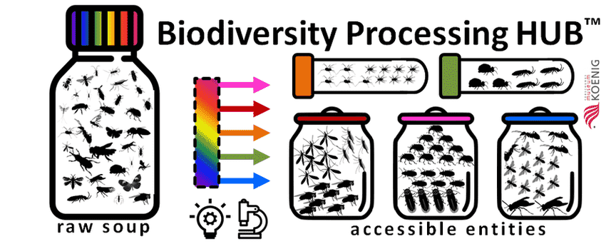 Darstellung der Ablaufes des Biodiversitäts Prozesses HUBs