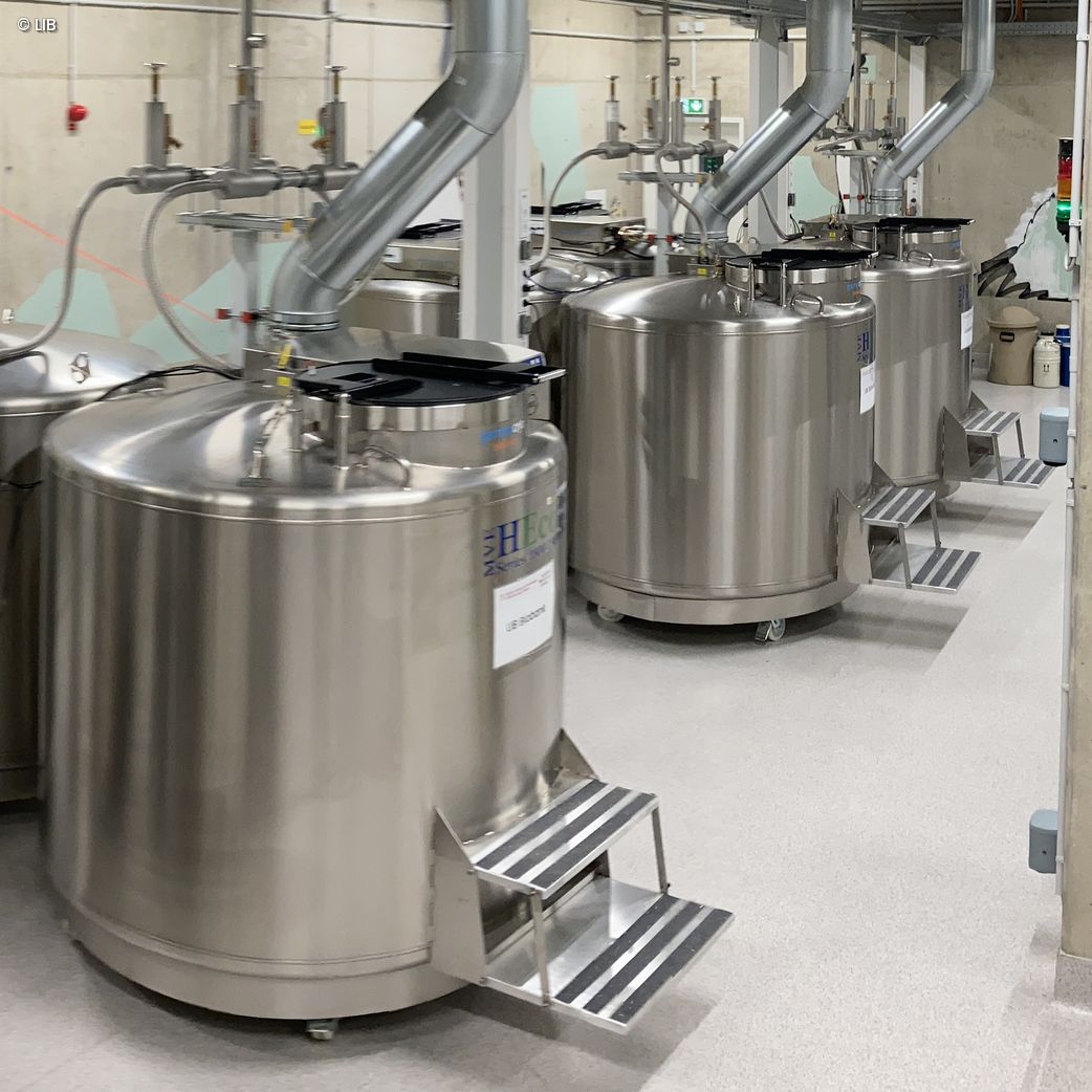 Mehrere große, zylindrische Edelstahlbehälter mit angeschlossenen Lüftungsrohren in einem Laborraum der Biobank des Leibniz-Instituts zur Analyse des Biodiversitätswandels in Bonn