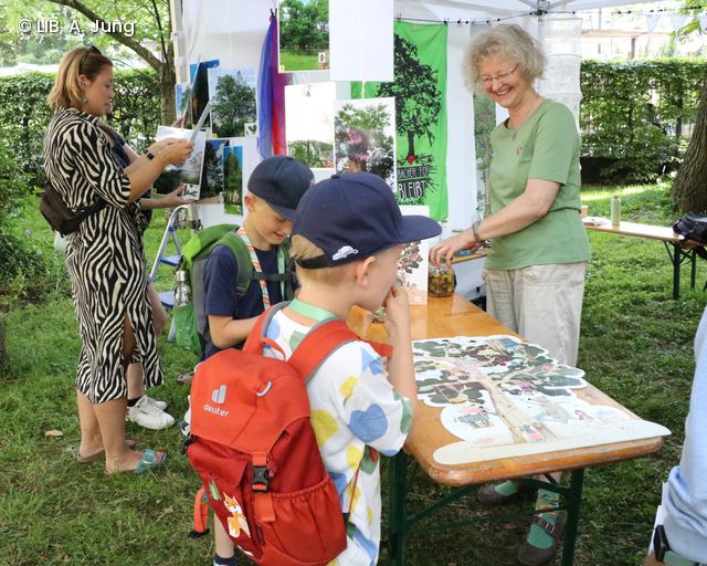Besuchende erkunden Bäume auf dem Museumsmeilenfest