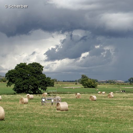 Gerollte Heuballen auf Feld bei bewölktem Wetter